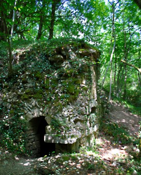 Forêt Verdun, fort de Souville, 1916, christophe courau, www.balades-historiques.com